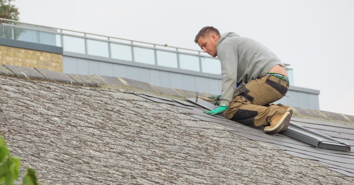 Essential Questions to Ask Your Roof Maintenance Service