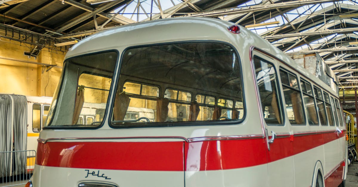 Identifying Signs of Roof Damage in Melbourne Homes