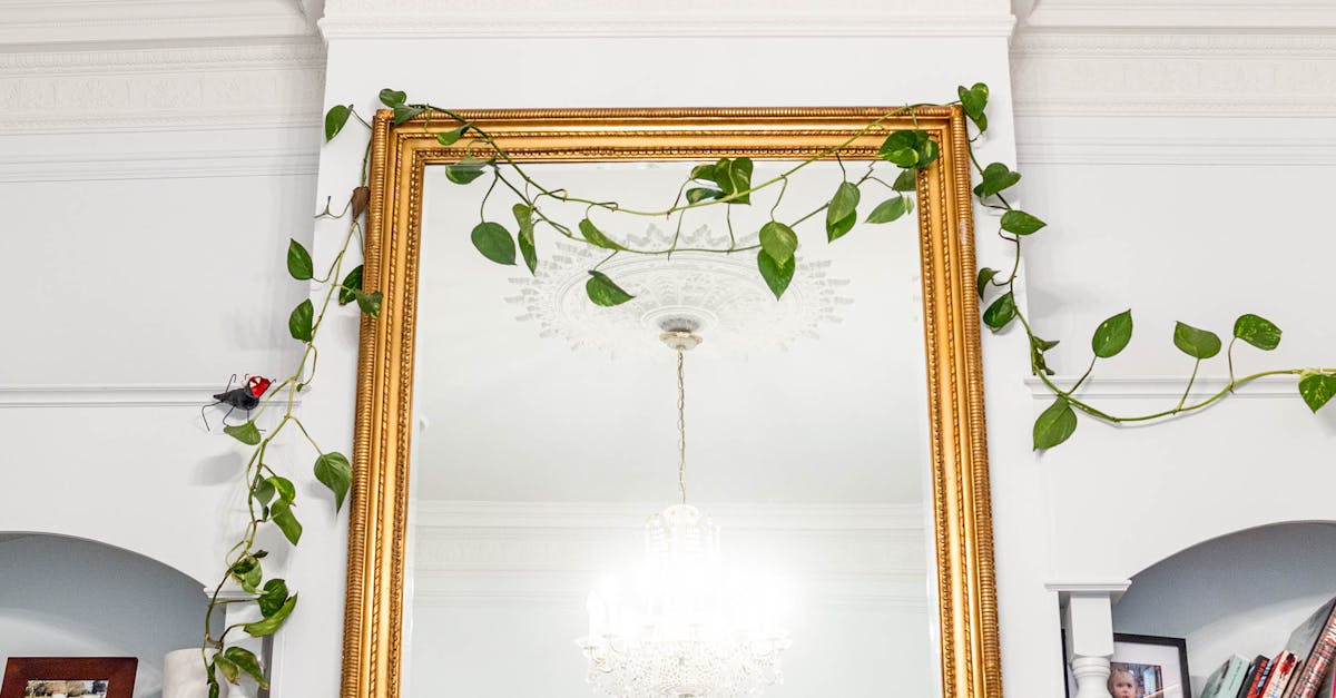 Recognising When to Replace Your Asphalt Shingle Roof