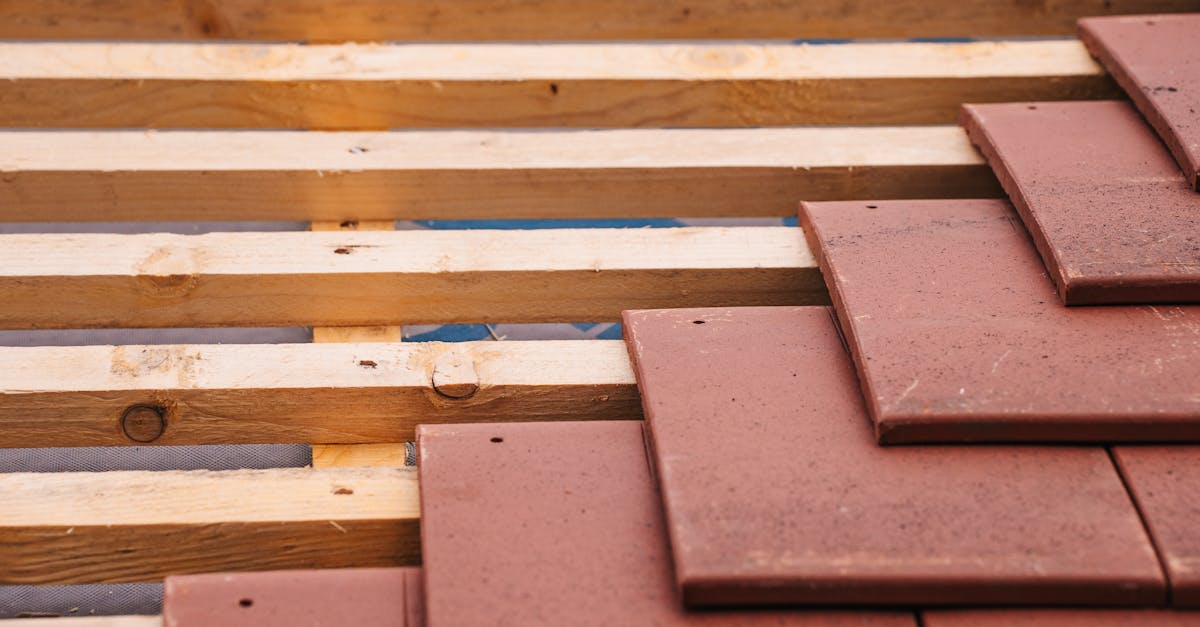 Roof Maintenance Tips for Reducing Seasonal Wear